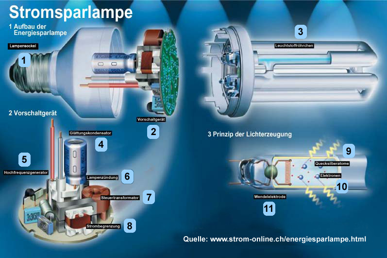 Sehen und verstehen:&nbsp;Die Energiesparlampe
